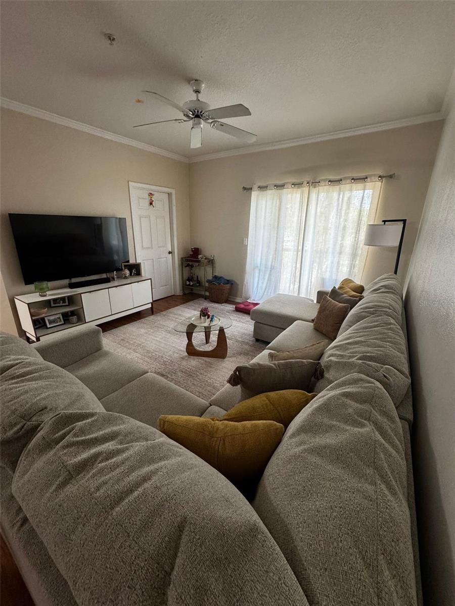 THE PINNACLE AT CARROLLWOOD A - Residential