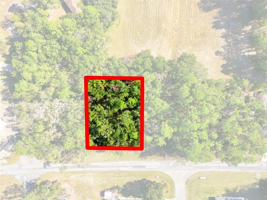 Discover the perfect opportunity to build your dream home on this spacious vacant lot located in Citrus Springs. Nestled in a quiet and growing community, this property offers a peaceful setting with plenty of room for your custom design! Enjoy the convenience of nearby parks, golf courses, schools, shopping, and dining, all while being just a short drive to Crystal River, Dunnellon, and the Rainbow River!

If you need more space, the adjacent lot directly to the north (MLS # G5104704) is also available, giving you the option to combine both parcels for a total of over half an acre.

Whether you’re looking to build now or invest for the future, this lot offers incredible potential in a desirable location with no HOA. Don’t miss your chance to secure your piece of Florida living in the heart of Citrus Springs!
