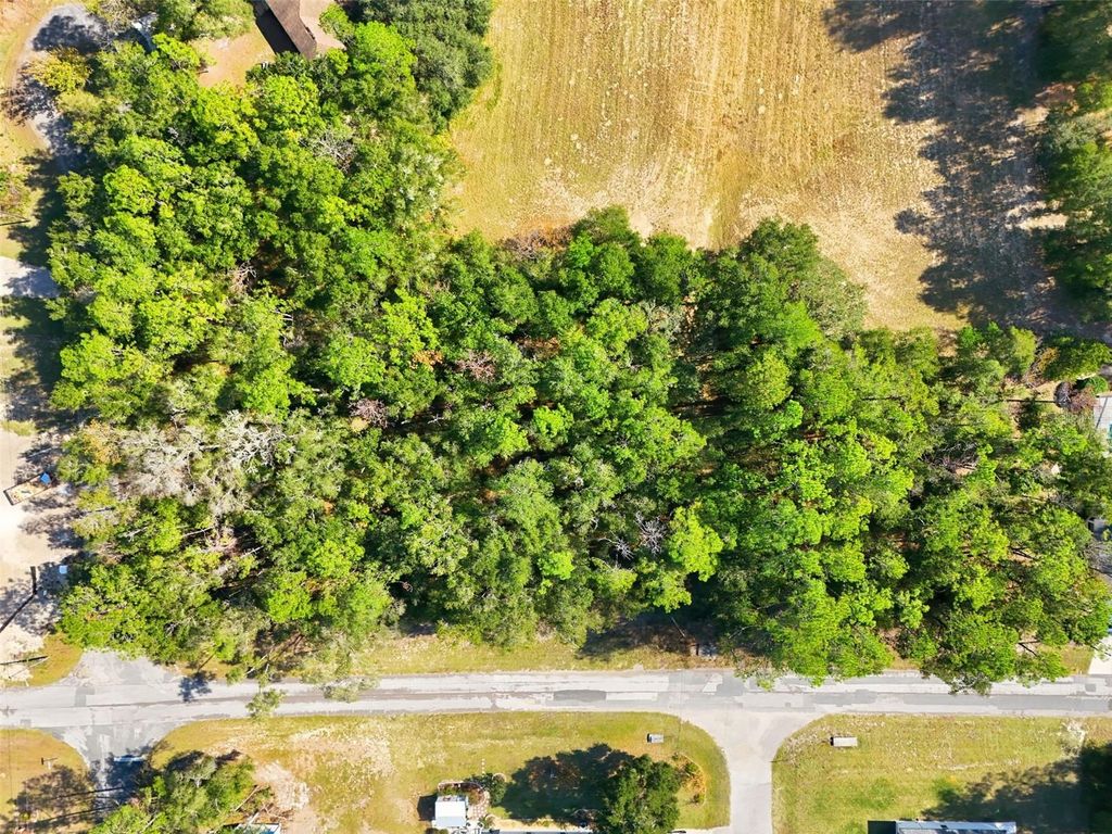 Photo of 10441 N Biscayne Drive, Citrus Springs, FL 34434 (MLS # G5104701)