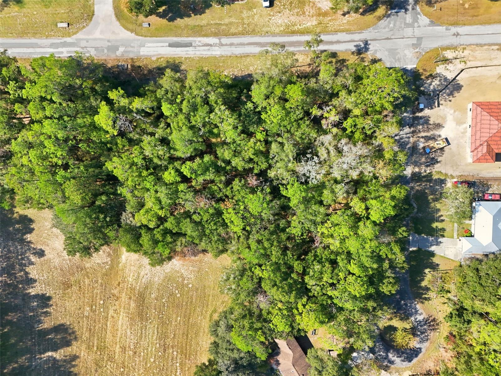 CITRUS SPGS UNIT 01 - Land