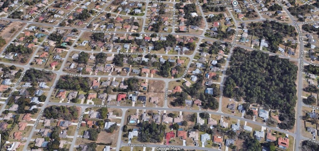 Photo of 11323 Libby Road, Spring Hill, FL 34609 (MLS # O6360440)