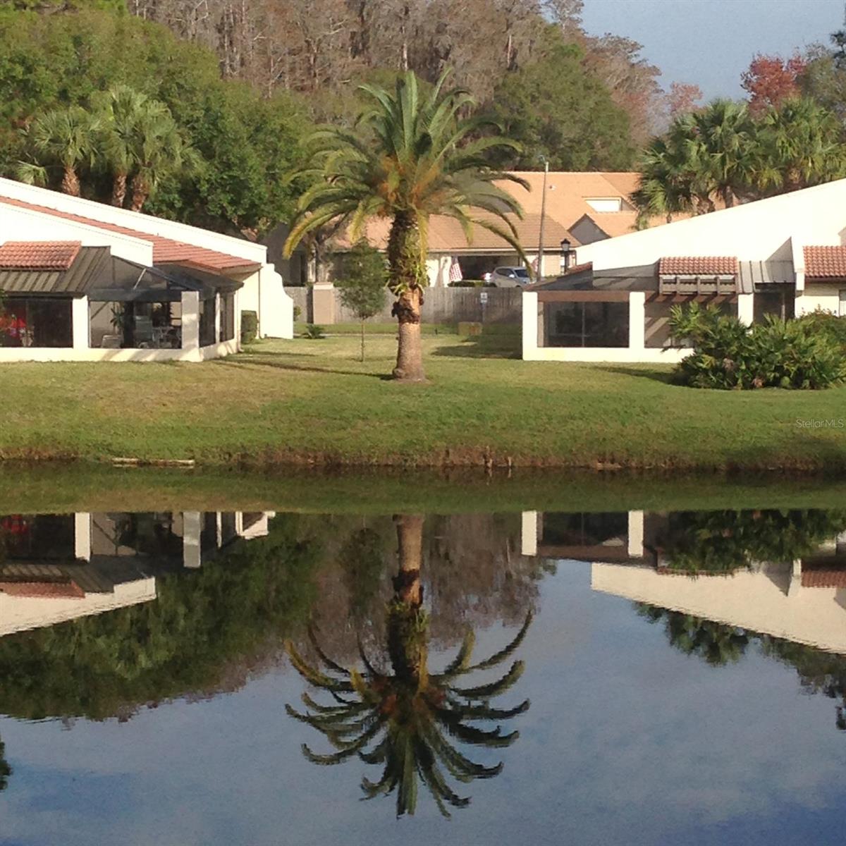 TARPON WOODS CONDO - Residential Lease