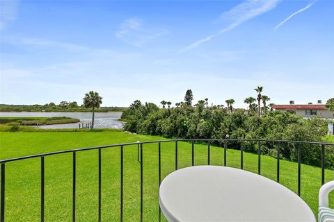 A home in FLAGLER BEACH