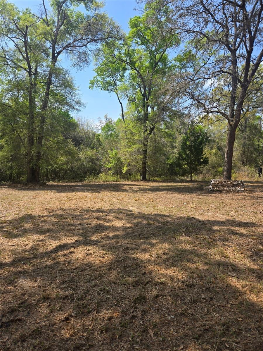 3 RIVERS ESTATES - Land