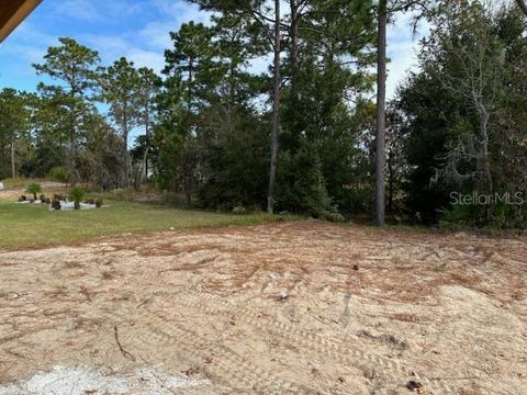 A home in DUNNELLON