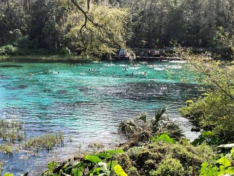 Tiny photo for 19573 SW 84th Pl, Dunnellon, FL 34432 (MLS # S5140876)