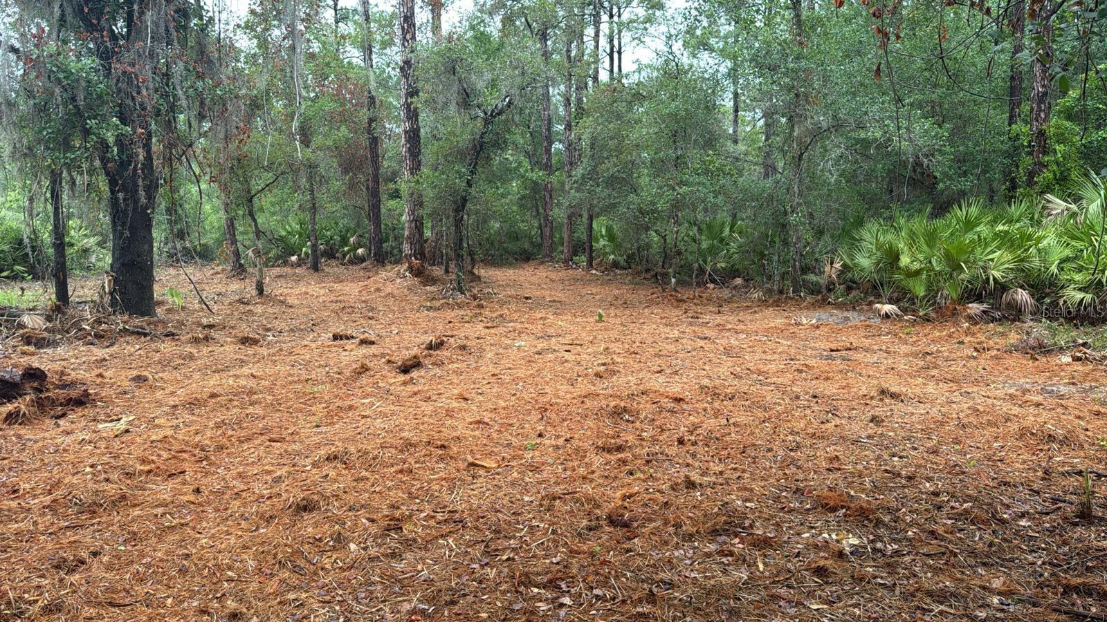 Attention investors! Excellent opportunity to own a cleared lot in the growing Georgetown, FL area. This lot offers endless possibilities: place a manufactured home, build a vacation getaway, or hold for future appreciation. Located near George Lake with convenient access to public boat ramps, fishing, and outdoor activities. Quiet and private location, perfect for a weekend retreat or long-term rental investment. Lot has already been cleared, saving you time and money. Property was acquired via Tax Deed and is being sold AS-IS. Buyer is responsible for all due diligence.