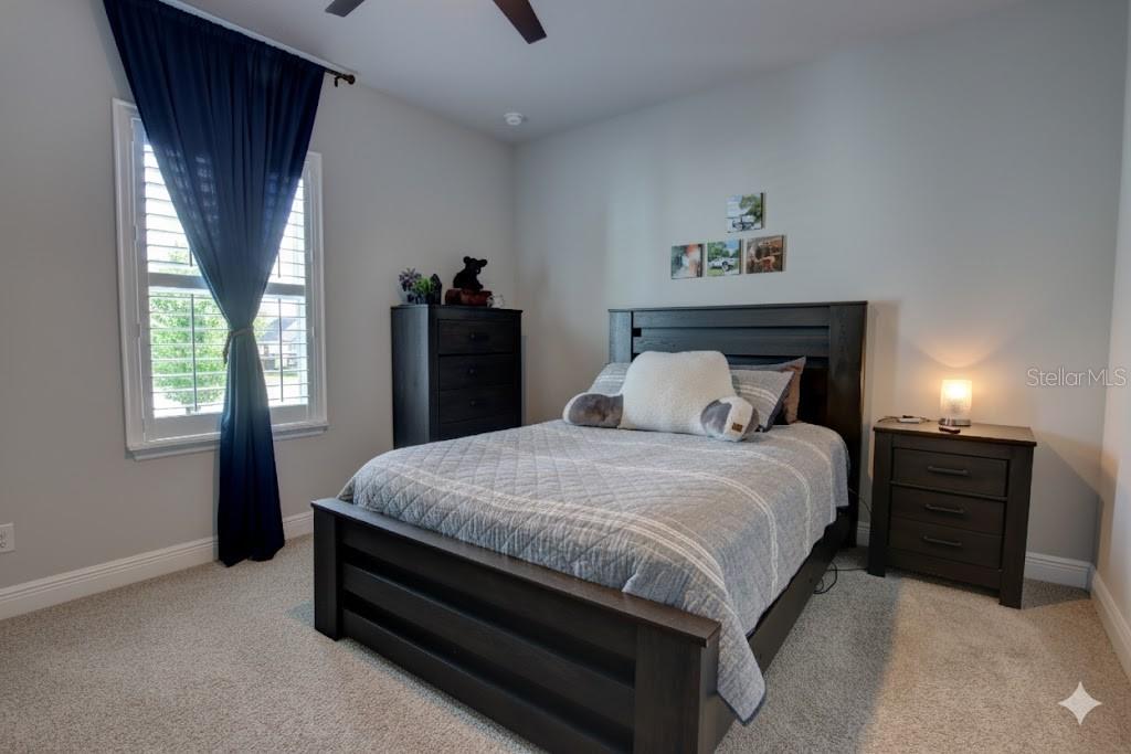 GRIFFIN PARK PH 2 - Residential