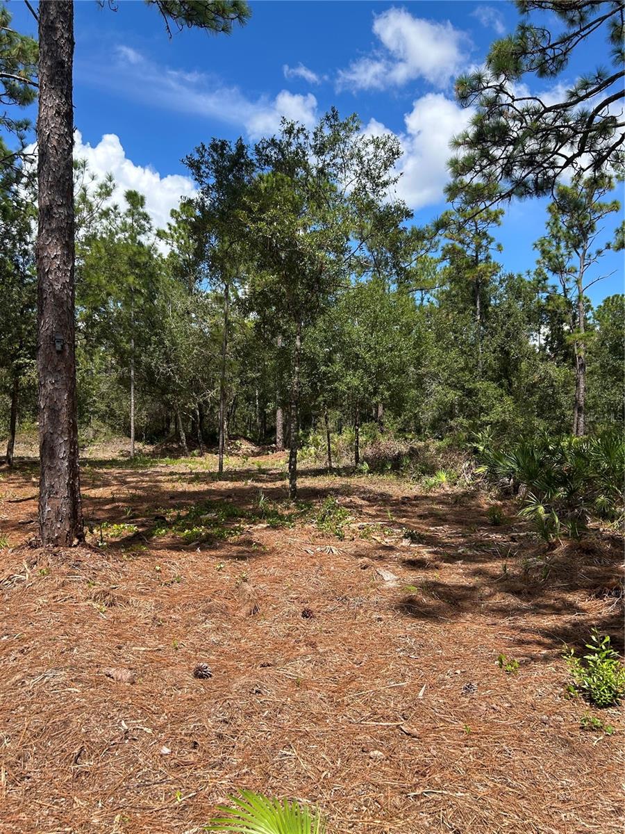 INDIAN LAKE ESTATES - Land