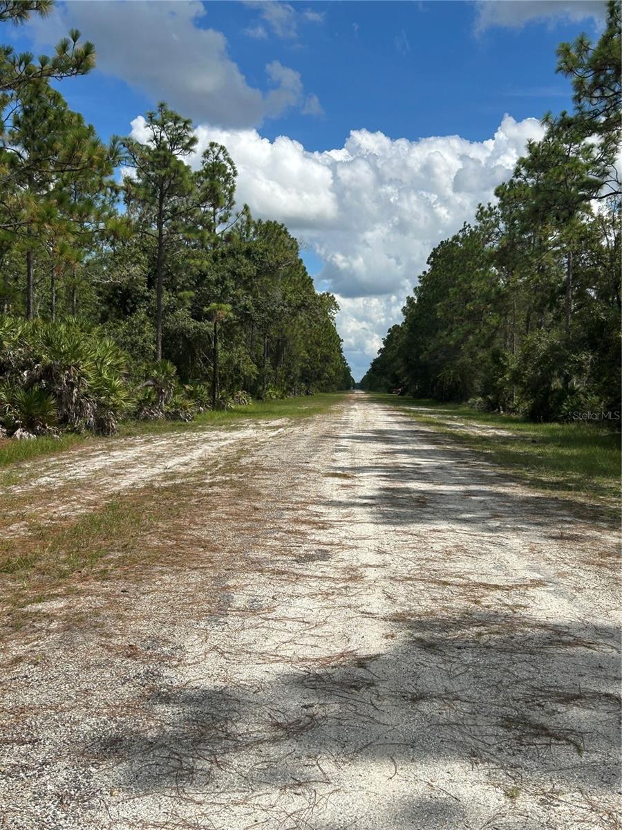 INDIAN LAKE ESTATES - Land