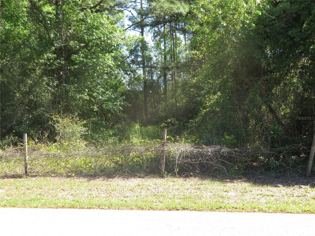 Photo of San Antonio, FL 33576 (MLS # TB8489560)