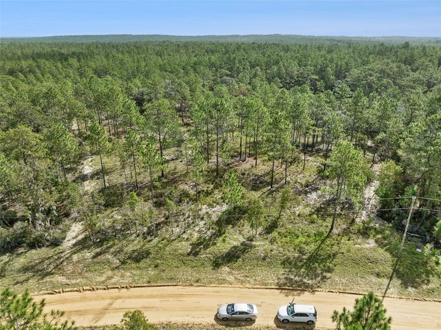 Gorgeous 5 acres all high and dry in Hawthorne. Lot sits on a cul de sac. No timeframe to build, bring your own builder to plan your dream home and view the breathtaking sunset! No HOA!!