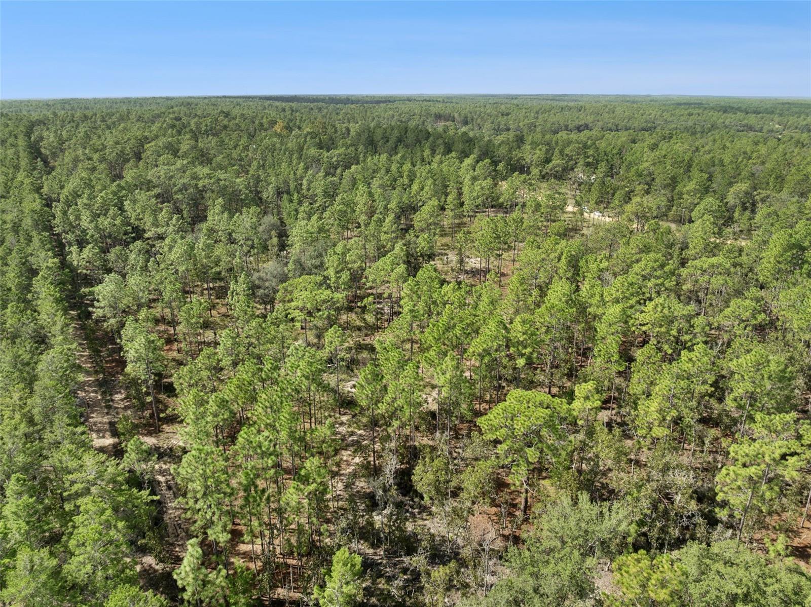 MELROSE LANDING - Land