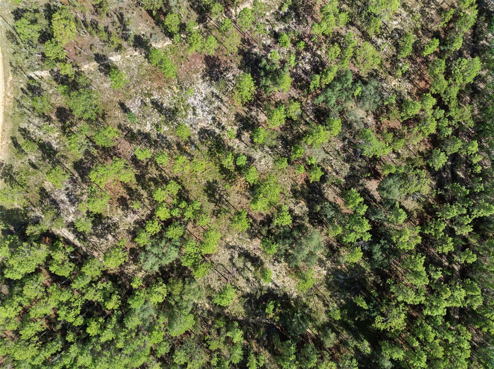 MELROSE LANDING - Land