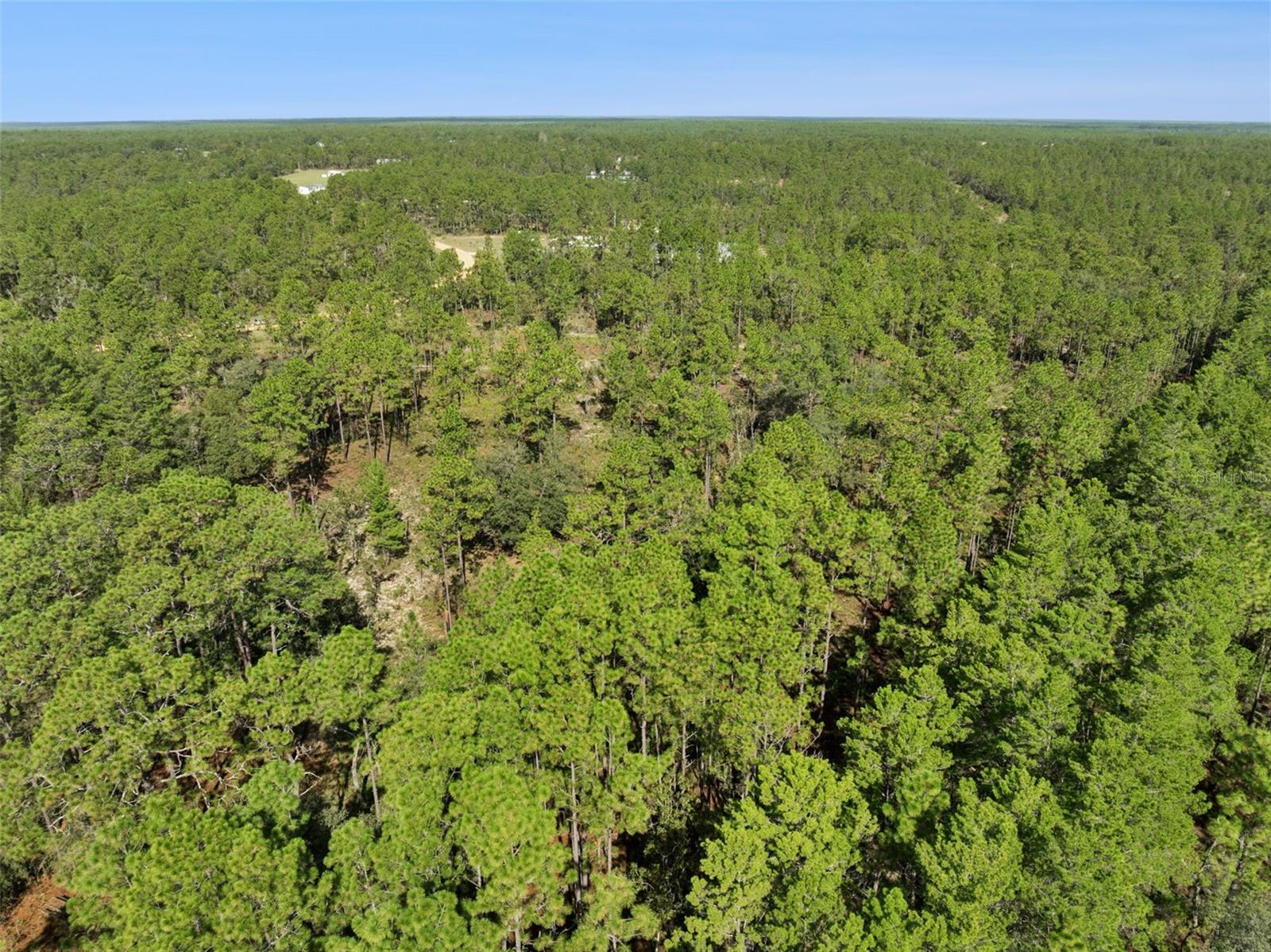 MELROSE LANDING - Land