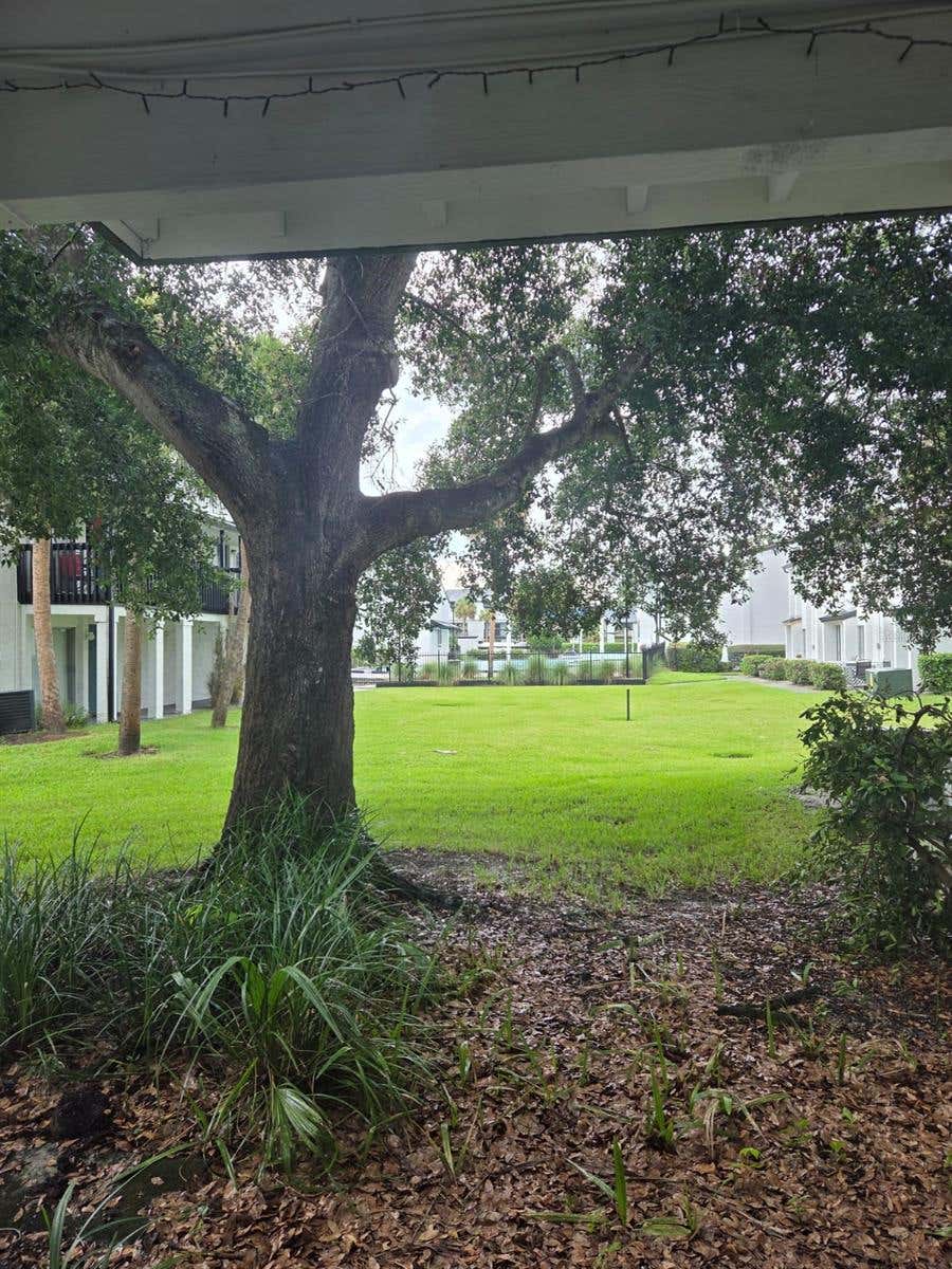 Photo of 4203 S Semoran Boulevard #4, Orlando, FL 32822 (MLS # S5155311)