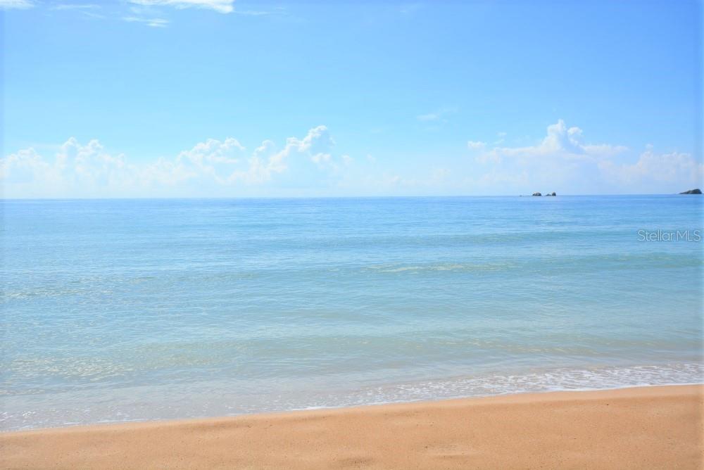 CRESCENT BEACH - Residential