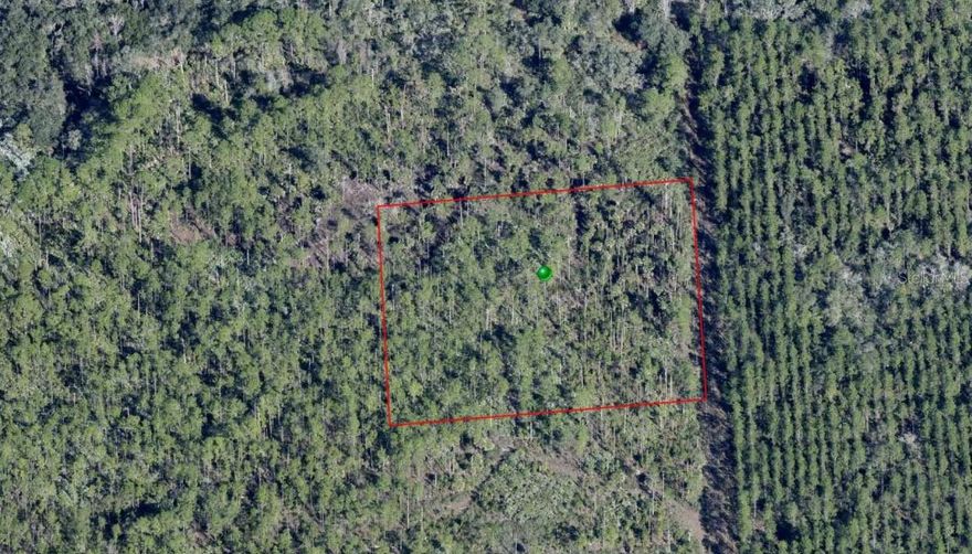 Come own 2.5 Acres of unimproved, undeveloped Central Florida. This spot is ideal for camping or simply enjoying a piece of all natural Florida. Lot is above the hundred year flood line. Perfect for the avid outdoorsman. This land is nested halfway between Orlando and Daytona and offers an easy commute to either. Don't delay. Please reach out to the listing agent with any questions you may have.