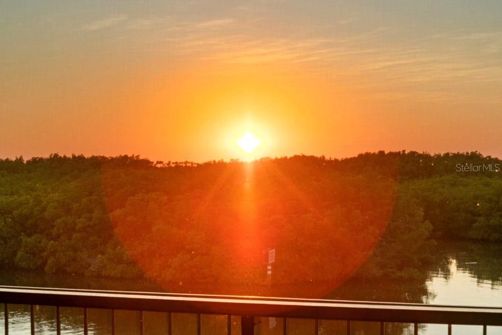 Photo of 7313 Pelican Island Drive, Tampa, FL 33634 (MLS # TB8469040)