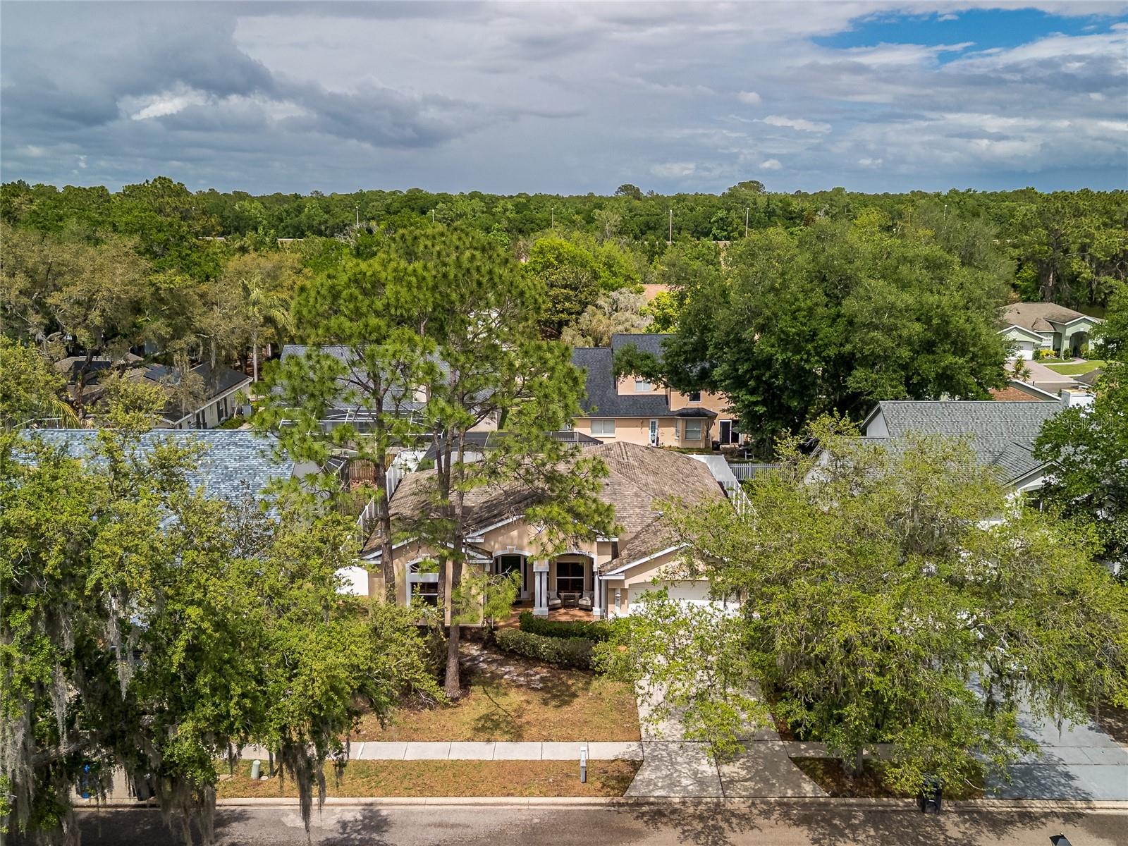 TAMPA PALMS 2C UNIT 2 - Residential