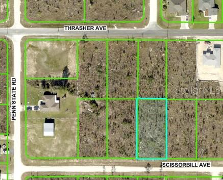 Nestled away in a highly desirable area of the Royal Highlands, this beautiful home site is waiting for you. The location is fantastic, ready to build your dream home on - or hold on to as an investment. Not in a deed restricted community, NO HOA or CDD fees either, and there is no time limit on when you can build. Close to all area amenities such as shopping, schools, dining, entertainment, medical, saltwater fishing in the Gulf and natural freshwater rivers and springs - for those who love the outdoors. Come see this beautiful home site today before it's gone. If you have any questions, just ask. Adjoining lot to the East is available for purchase from the same seller!