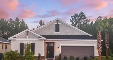 Photo of 33320 Castaway Loop, Wesley Chapel, FL 33543 (MLS # O6410180)
