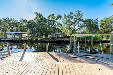 A home in HOMOSASSA