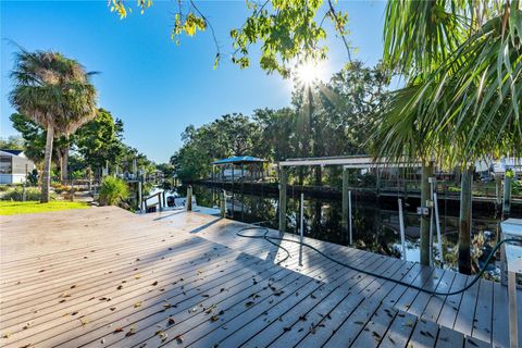 A home in HOMOSASSA