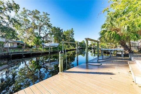 A home in HOMOSASSA