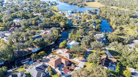 A home in HOMOSASSA