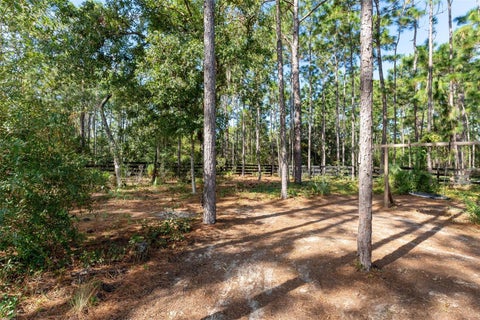 Tiny photo for 8556 County Road 243, Wildwood, FL 34785 (MLS # OM733239)