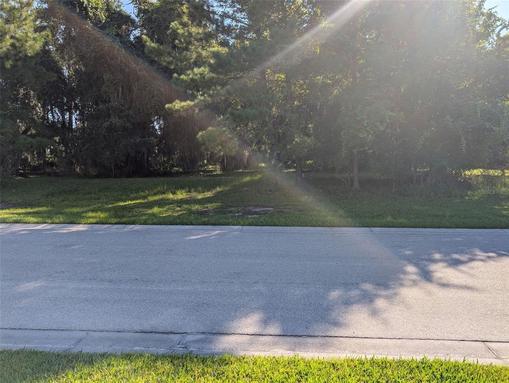 Photo of 4600 Hickory Oak Drive, Brooksville, FL 34601 (MLS # L4955224)