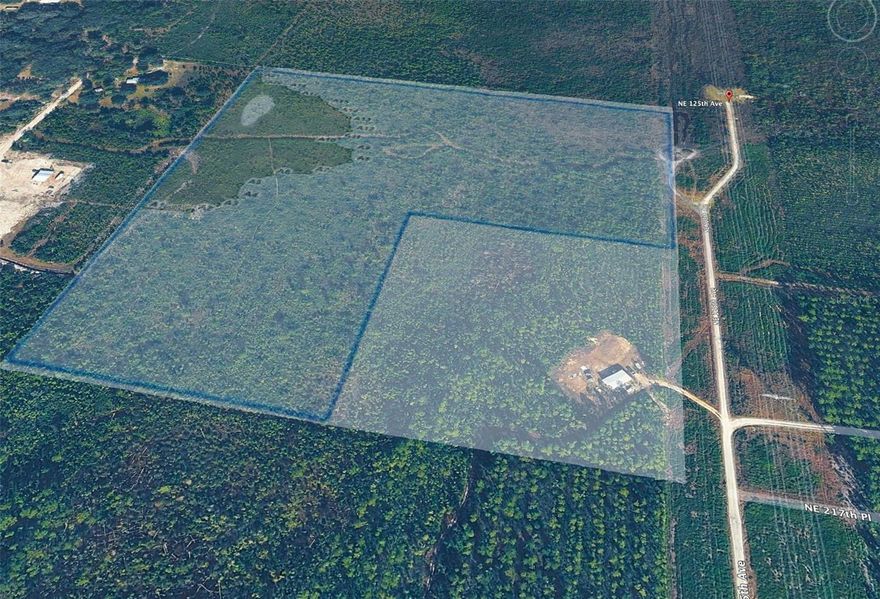 Zoned A-1 (Agricultural) tract of undeveloped vacant land, 30+- Acres with Electric nearby but well/septic needed. All measurements are approximate and should be verified by the buyer.