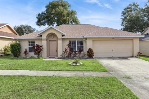 3711 MEADOW GREEN DRIVE TAVARES FL 32778