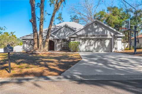Photo of 11534 River Country Drive, Riverview, FL 33569 (MLS # TB8470153)
