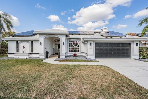 1123 HOUNDS RUN SAFETY HARBOR FL 34695