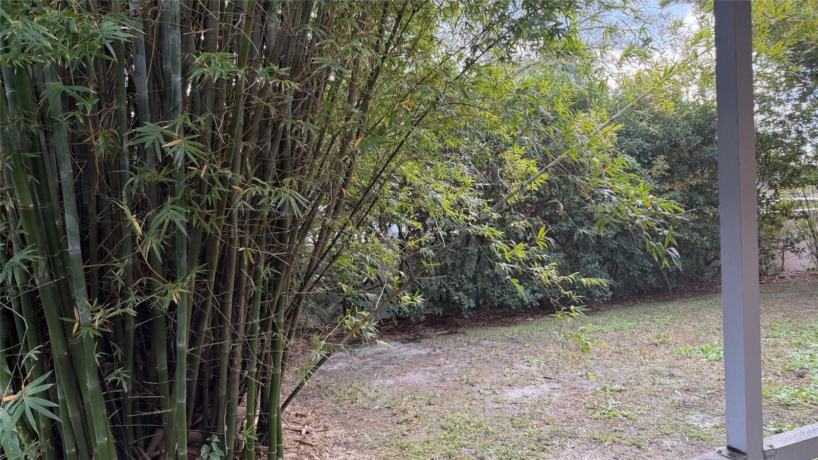 CHEVAL WEST VILLAGE 5B PHASE 1 - Residential