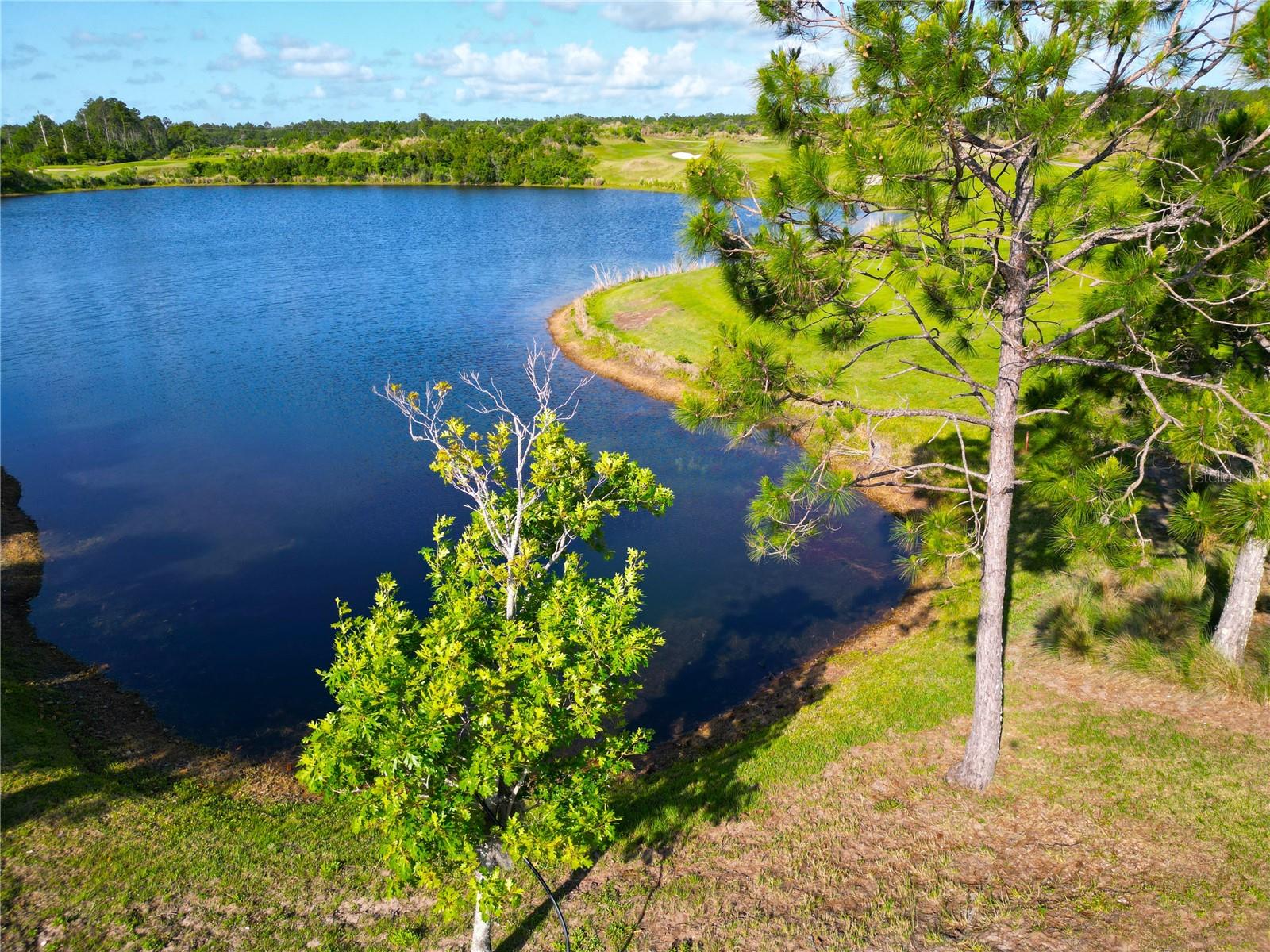 THE CONSERVATORY AT HAMMOCK BEACH - Land