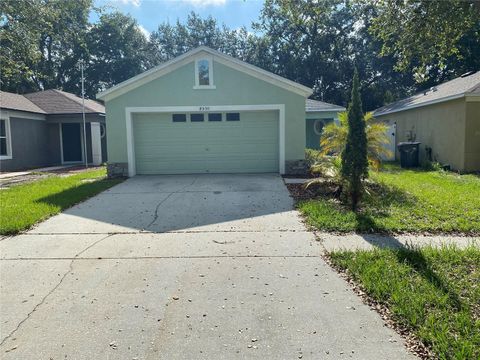 Photo of 8530 Quarter Horse Drive, Riverview, FL 33578 (MLS # TB8506806)
