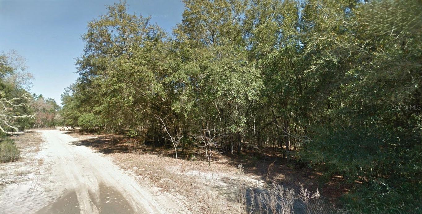 INTERLACHEN LAKES ESTATES - Land