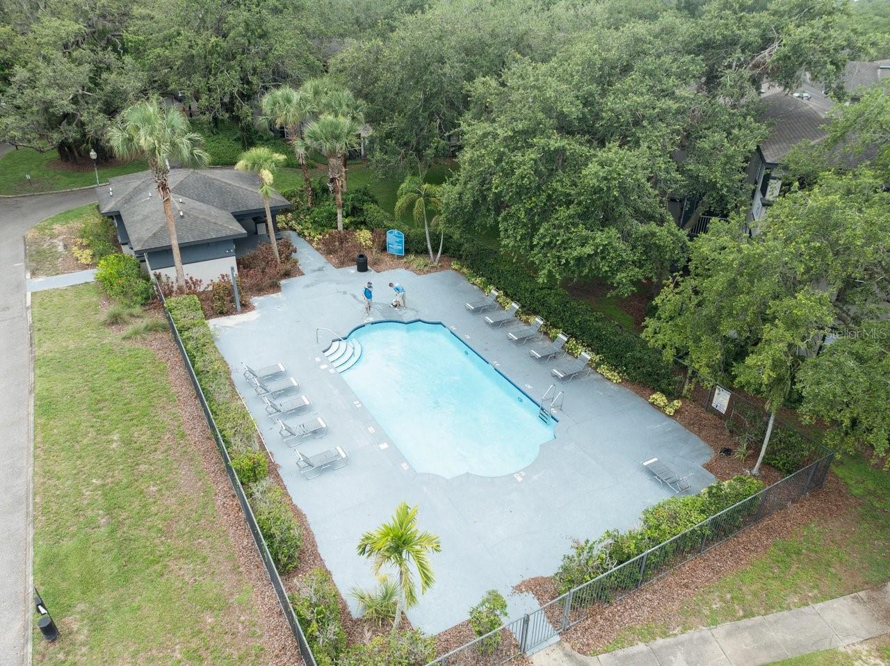 THE FALLS AT NEW TAMPA A CONDO - Residential