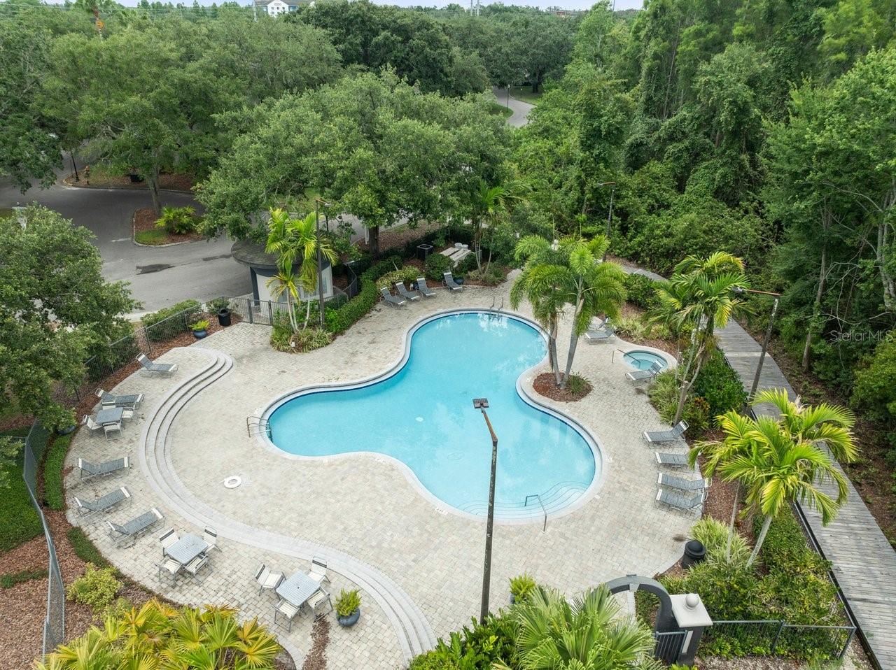 THE FALLS AT NEW TAMPA A CONDO - Residential