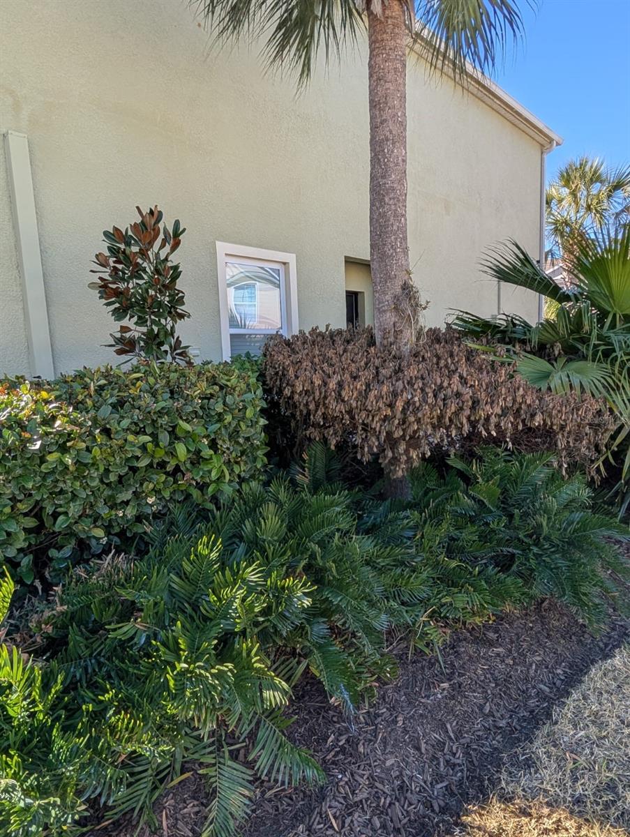 273 ARBOR LAKES DRIVE