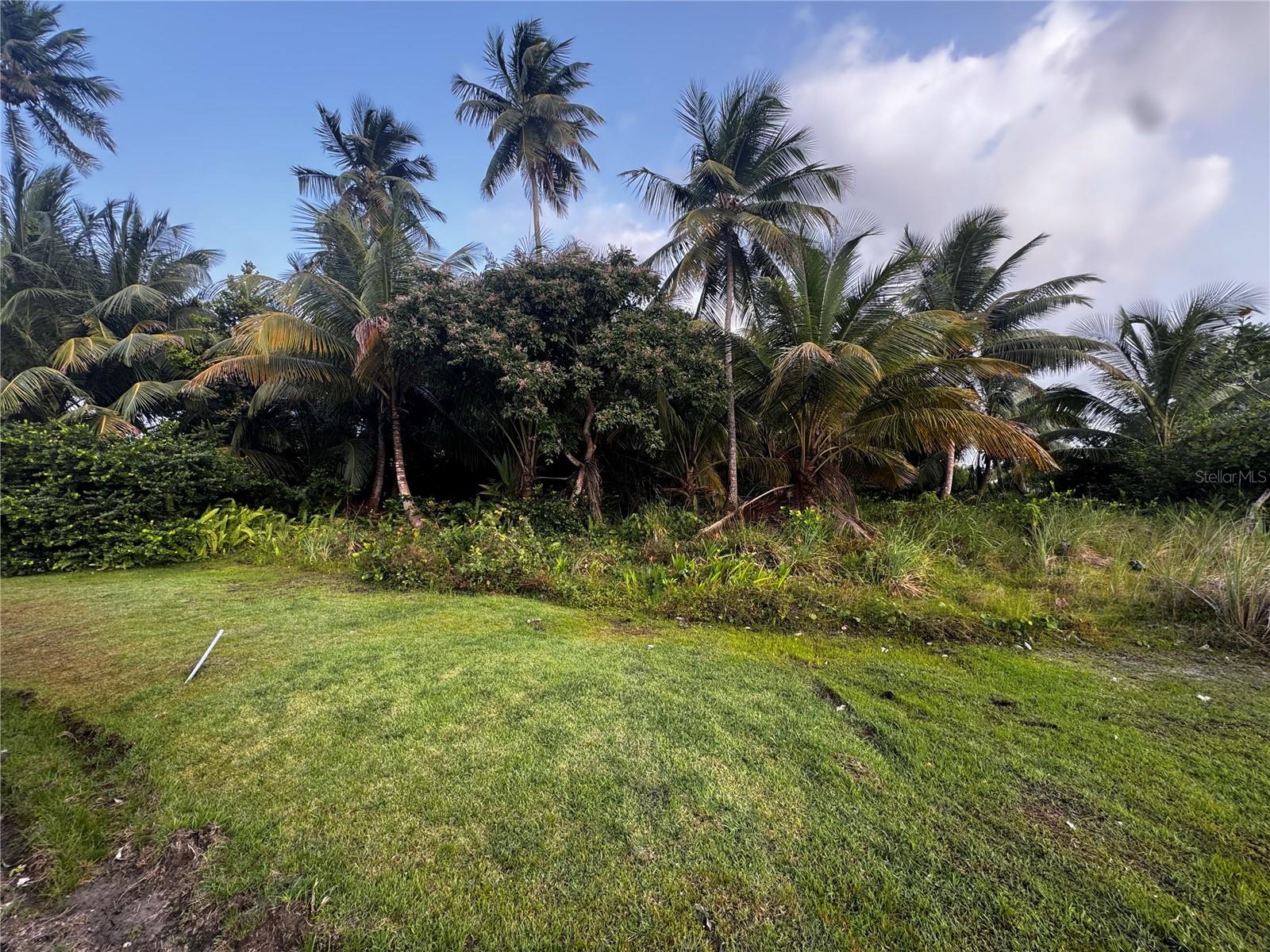 Costa Azul:
Perfect lot to build the home of your dreams in a safe and privileged location. Conveniently located near Cerro Gordo Beach and its popular walking and biking trail, surrounded by beautiful coastal scenery. Just 5 minutes from the Ritz-Carlton Reserve, world-class golf courses, restaurants, shops, and the stunning beaches of Dorado. The lot is flat, offers easy access, and is listed at a very attractive price an excellent opportunity to enjoy both nature and comfort.