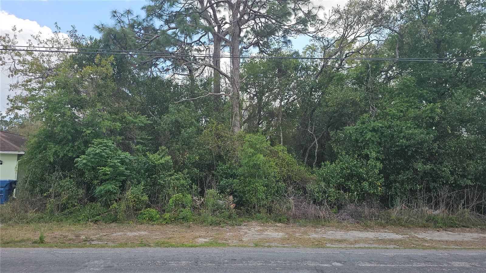 WEEKI WACHEE WOODLANDS - Land