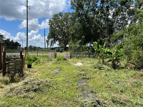 Tiny photo for 411 Alibrandi Road, Leesburg, FL 34748 (MLS # G5098737)