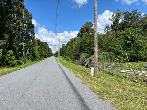 Tiny photo for 411 Alibrandi Road, Leesburg, FL 34748 (MLS # G5098737)