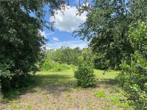 Tiny photo for 411 Alibrandi Road, Leesburg, FL 34748 (MLS # G5098737)