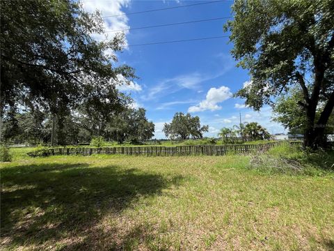 Tiny photo for 411 Alibrandi Road, Leesburg, FL 34748 (MLS # G5098737)