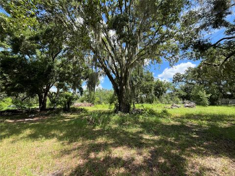 Tiny photo for 411 Alibrandi Road, Leesburg, FL 34748 (MLS # G5098737)